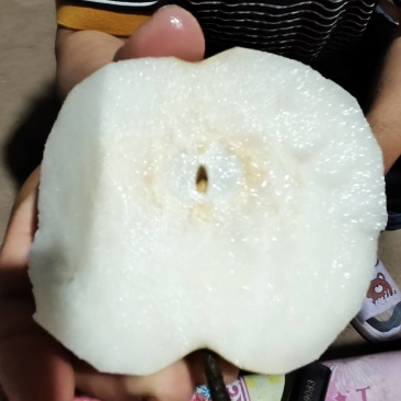 秋月梨