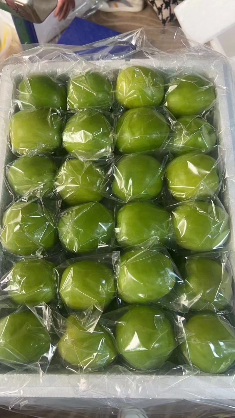 云南牛奶枣大青枣产品预售量大从优优质保障欢迎咨询