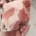 国产龙大腿骨可整根可切块山东临沂现货支持发样品