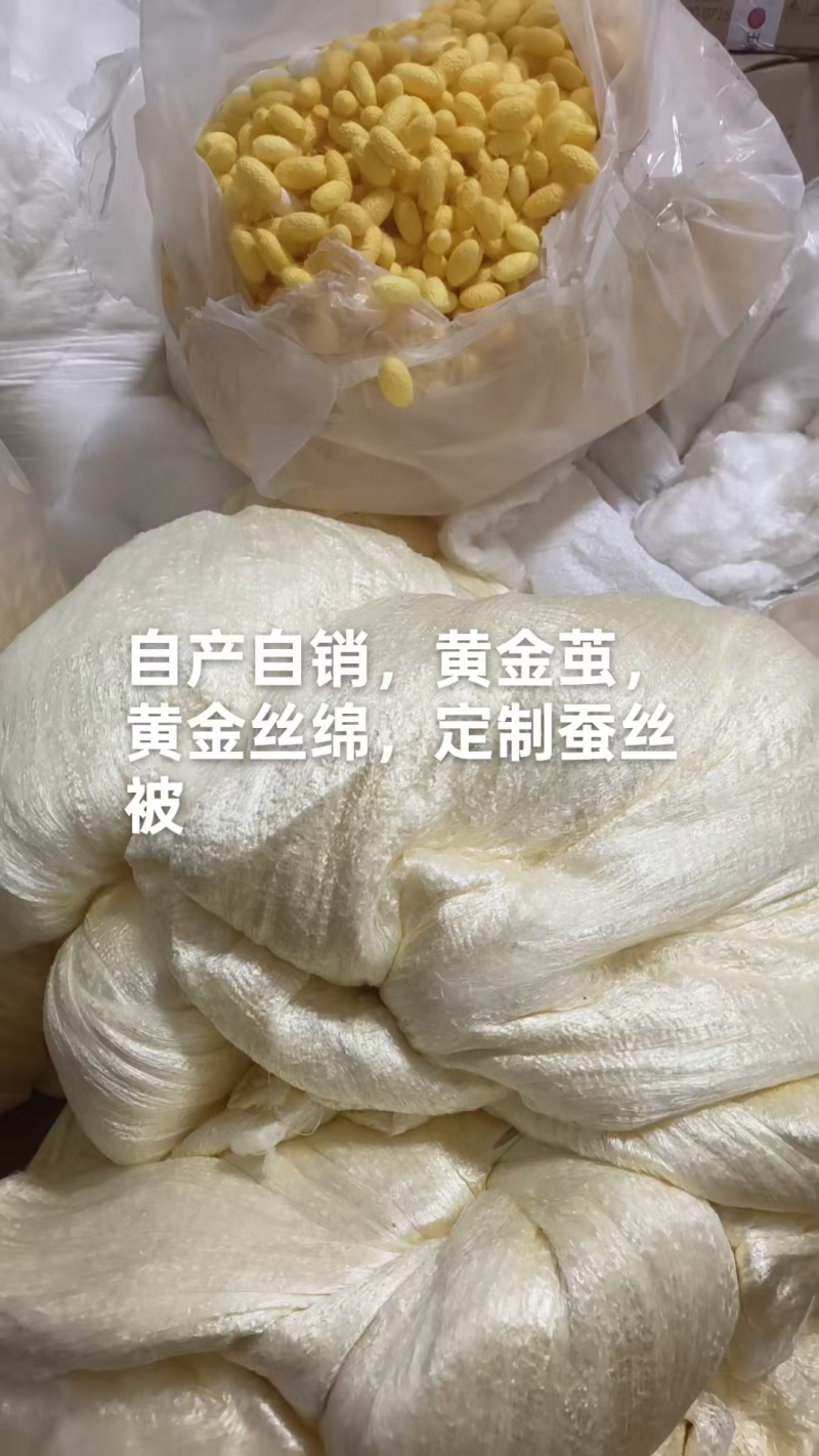 供应剥光干光双宫蚕茧，单茧，艺术削口茧，双宫茧黄金茧，