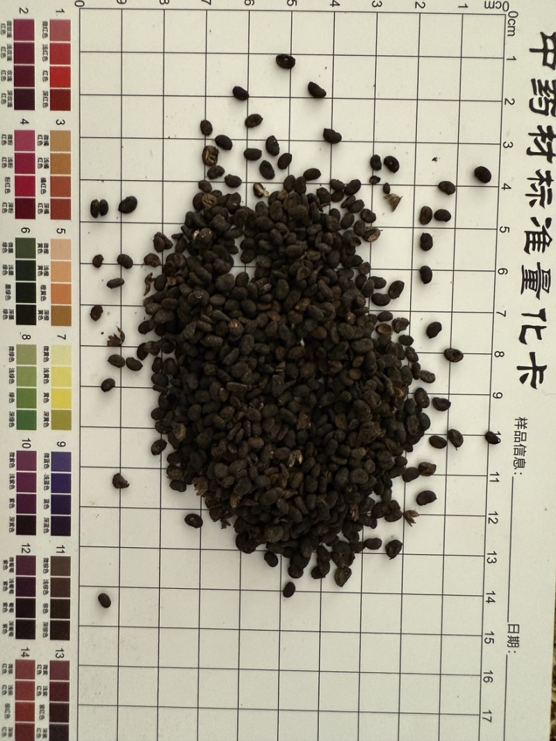 补骨脂