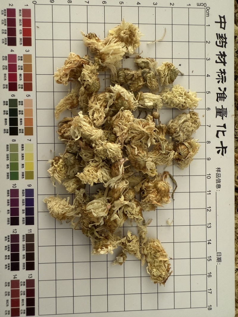 菊花