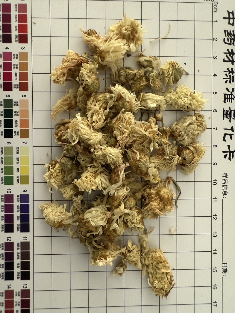 菊花
