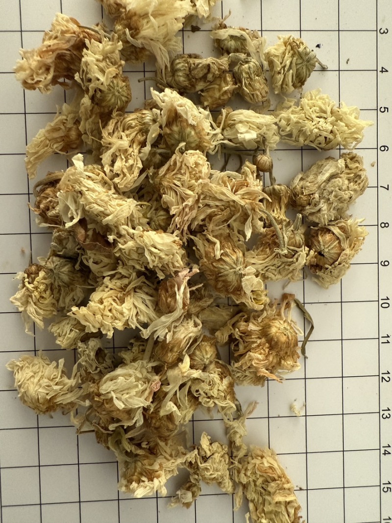 菊花