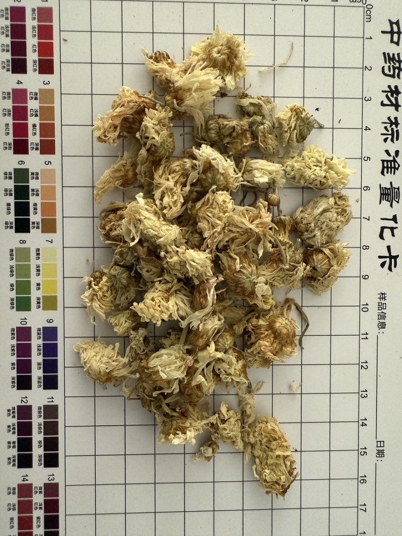 菊花