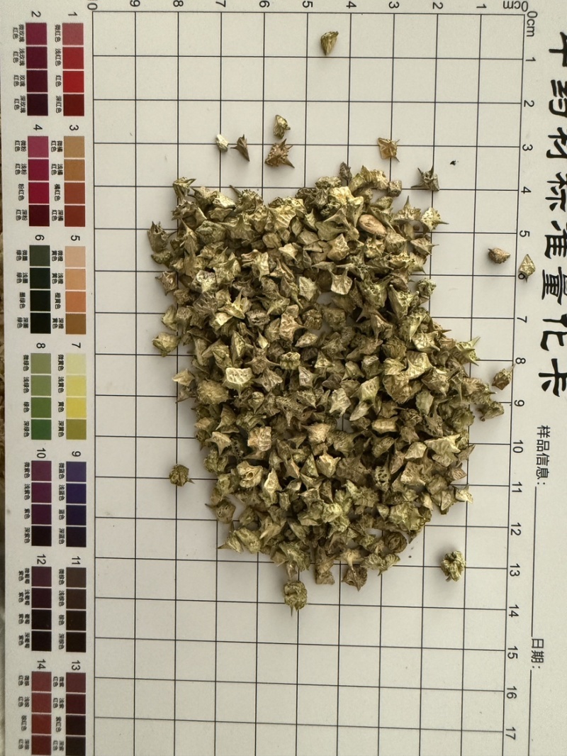 白蒺藜