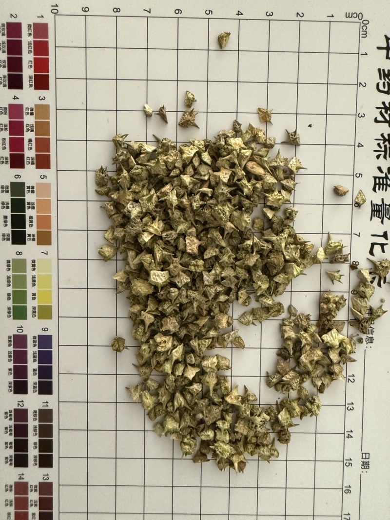 白蒺藜