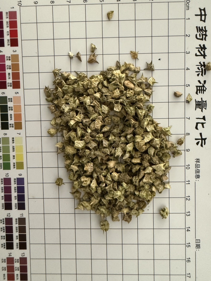 白蒺藜
