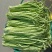 广西甜豆角朱豆大量上市，当季现货新鲜采摘！