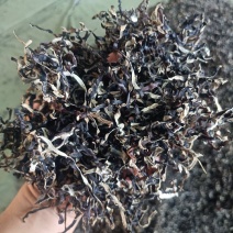 电商木耳丝去根木耳丝商用木耳丝酒店木耳丝干木耳丝优质木耳