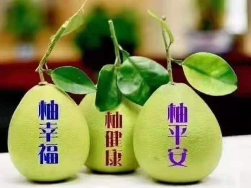 梅州三红蜜柚，一手货源