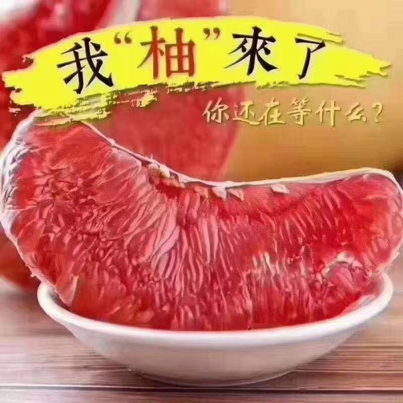 梅州三红蜜柚，一手货源