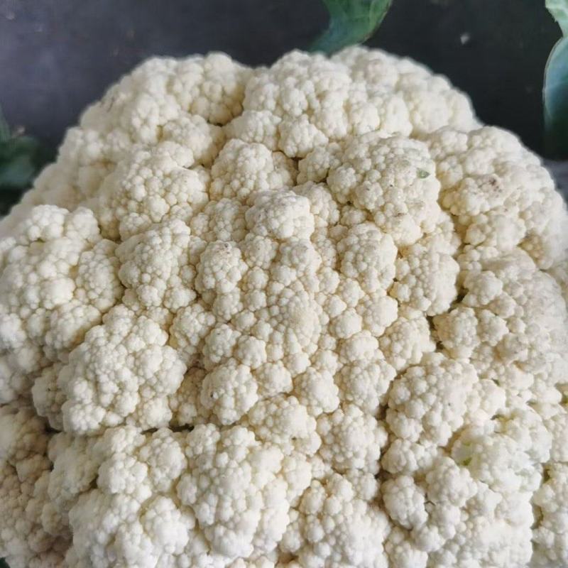花菜