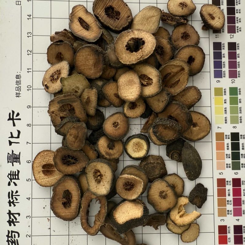 枳实