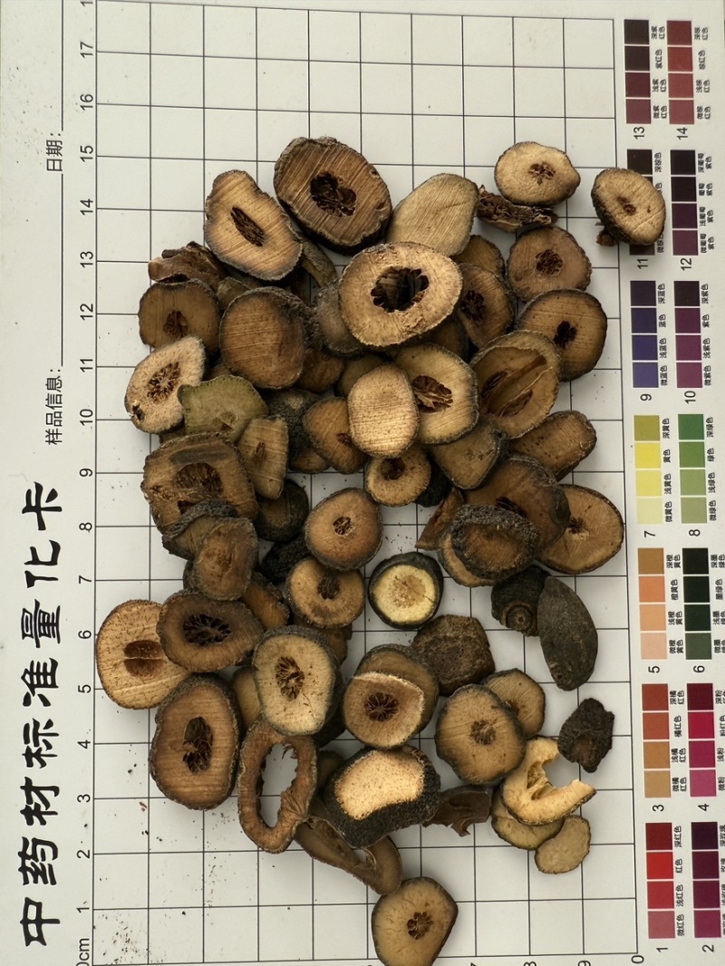 枳实
