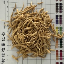 太子参