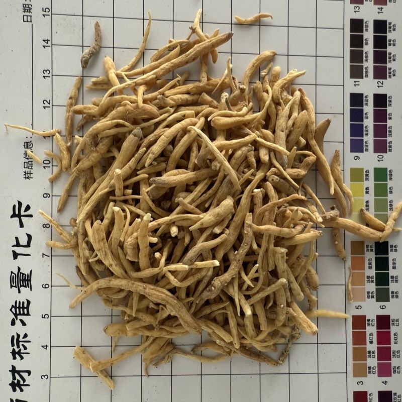 太子参
