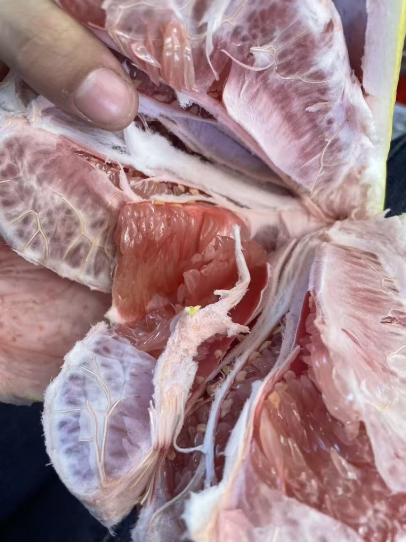 红心柚上新