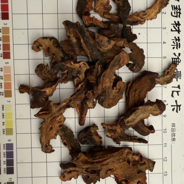 木瓜