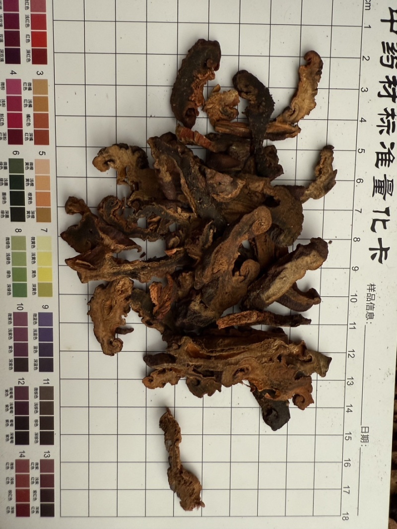 木瓜