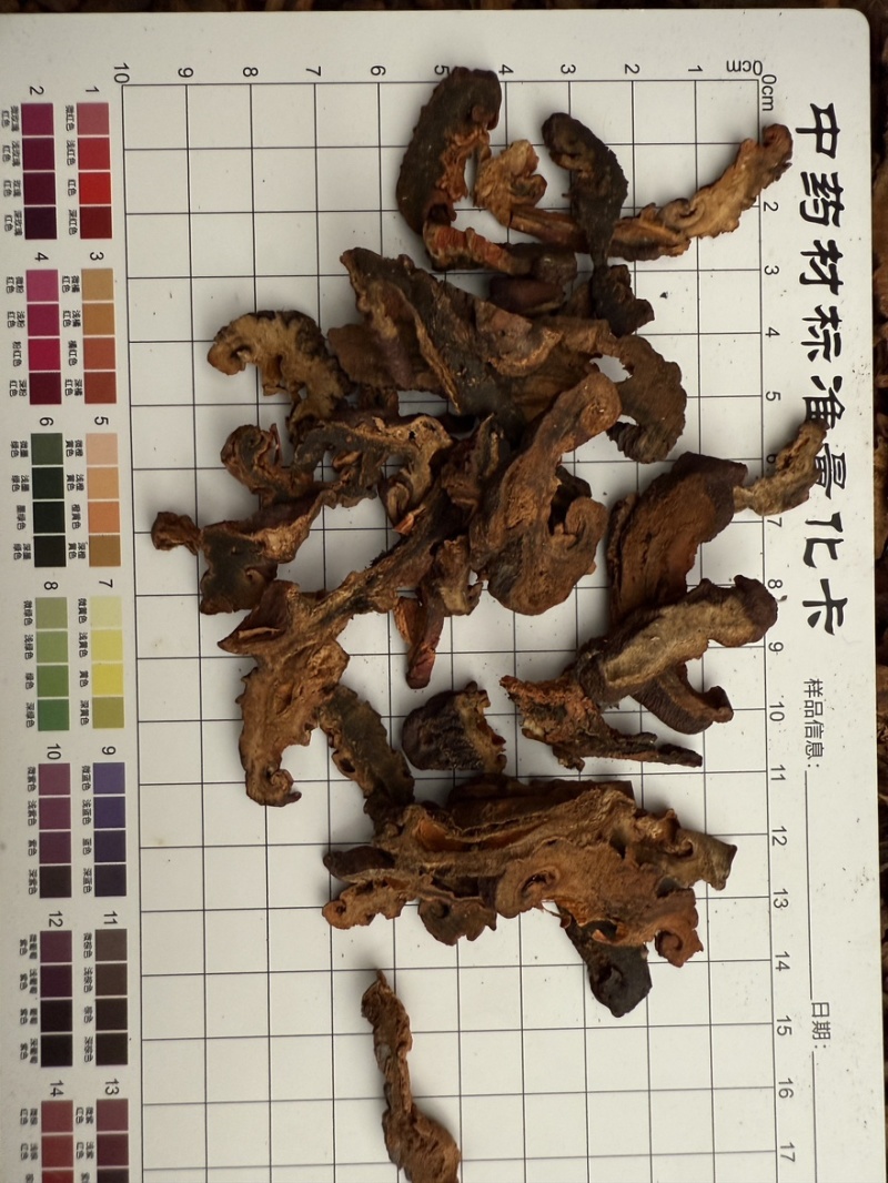 木瓜