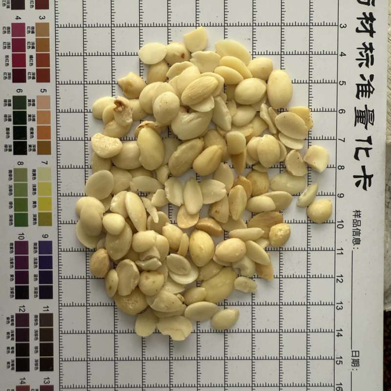 桃仁