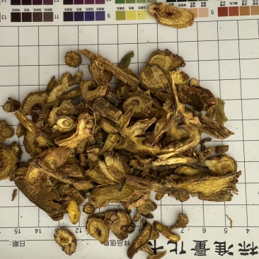 黄芩