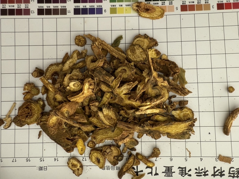 黄芩
