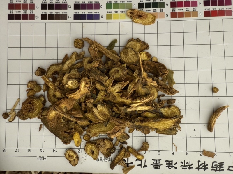 黄芩