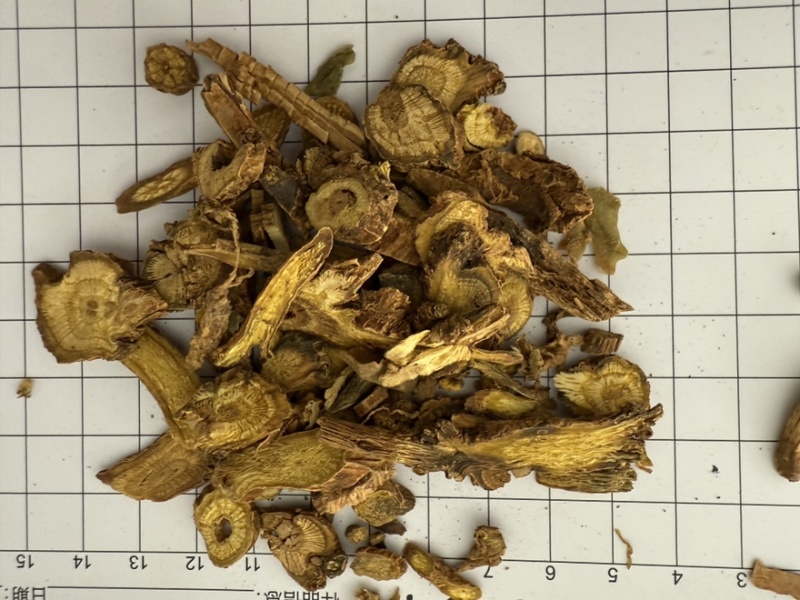 黄芩