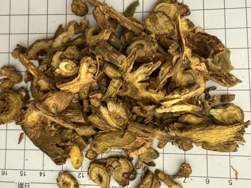 黄芩