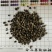 蔓荆子
