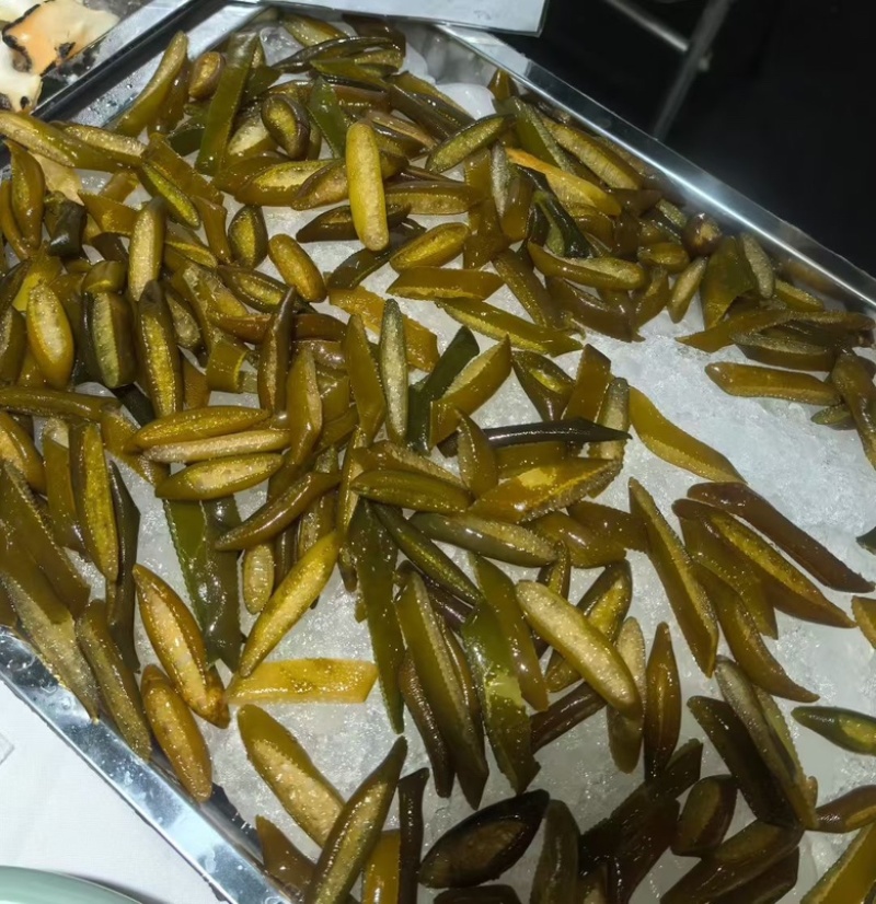 海松茸凉拌捞汁食材海鲜藻类海藻海笋海菜凉拌菜