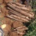 广西钟山淮山药大量出货中保质保量可支持视频看货