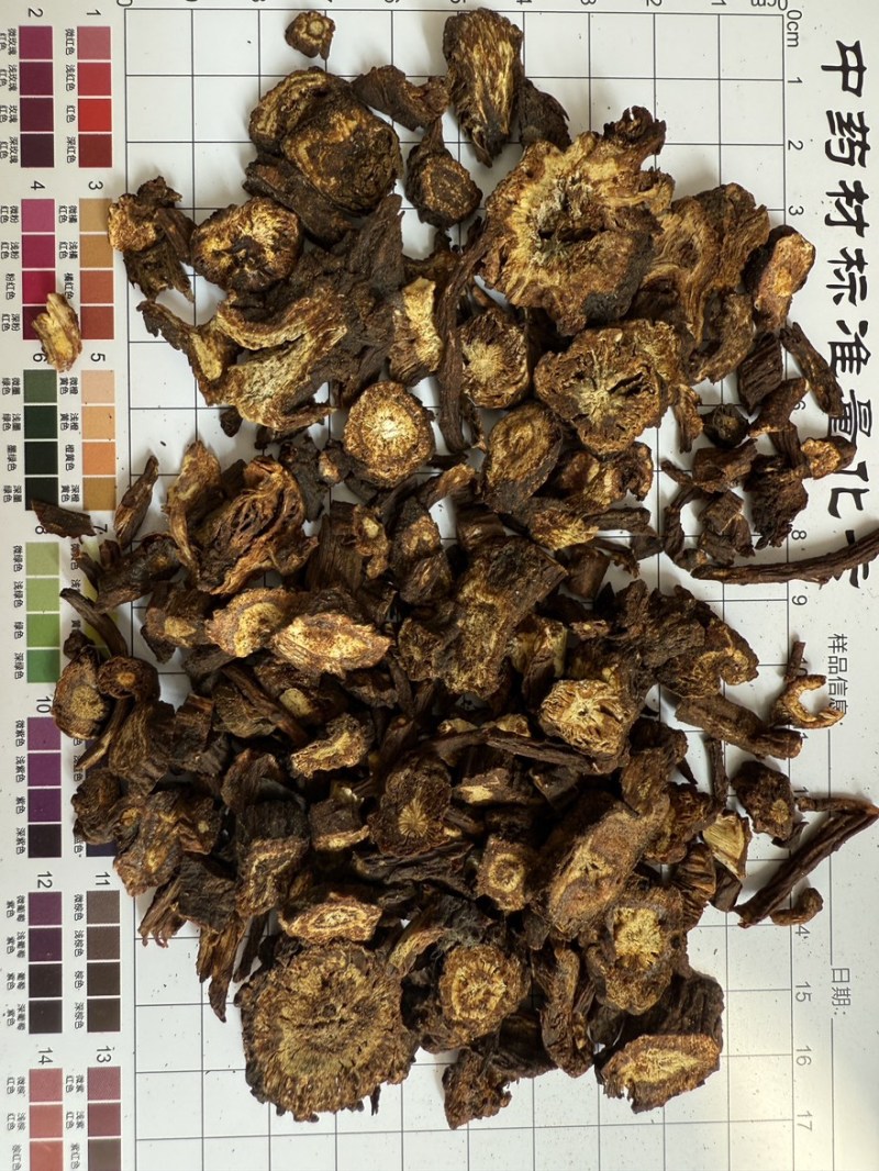 羌活