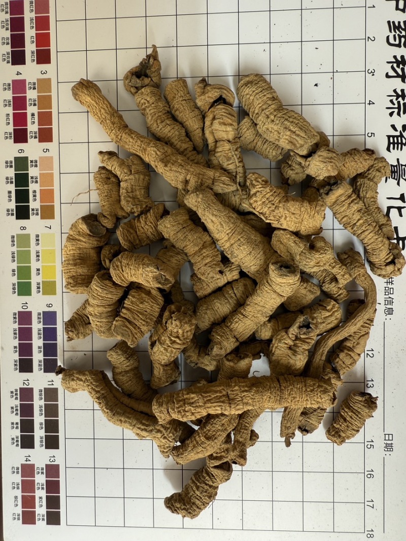 巴戟
