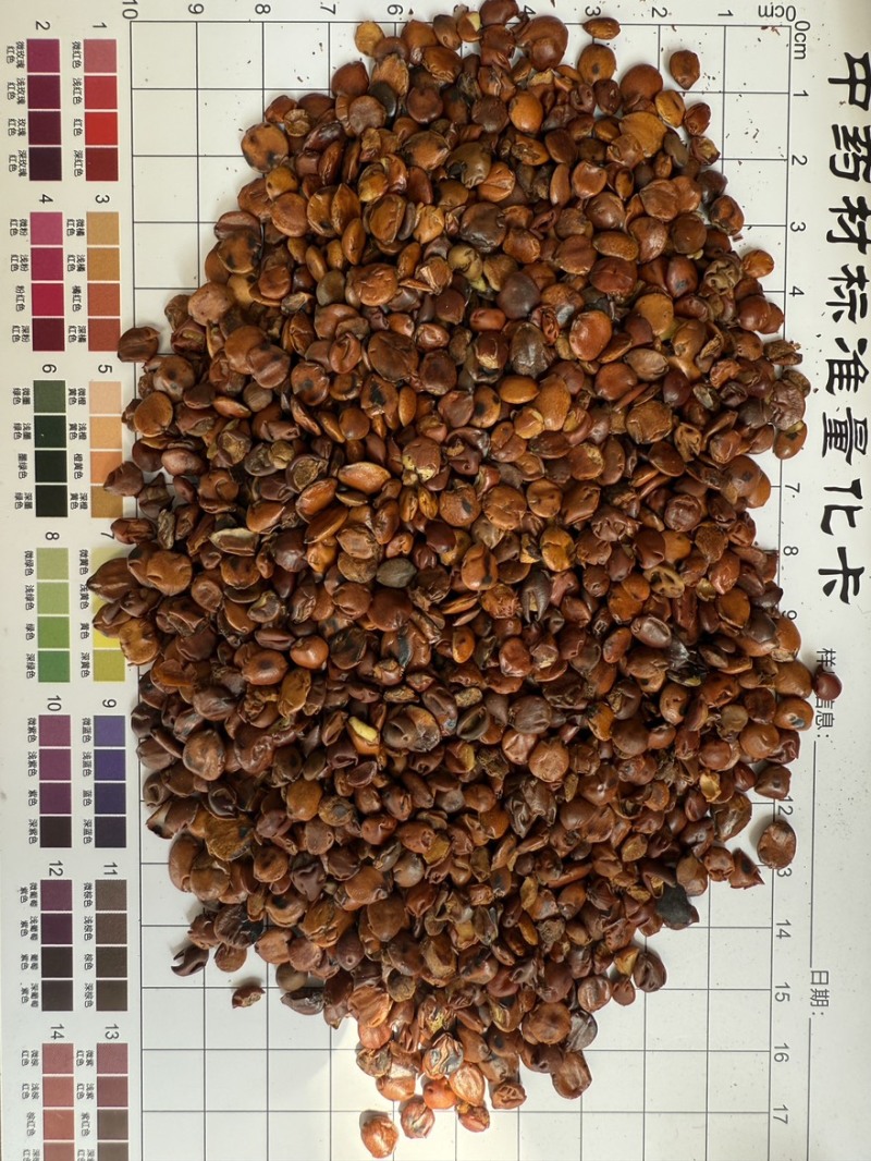 炒枣仁