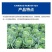 快绝特12%虱脲虫螨腈虱螨脲保丰农药菜青虫甜菜夜蛾农用药