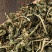 (灵香草)正宗广西零陵香灵草粉熏草香草排草钓鱼香料卤料