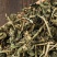 (灵香草)正宗广西零陵香灵草粉熏草香草排草钓鱼香料卤料