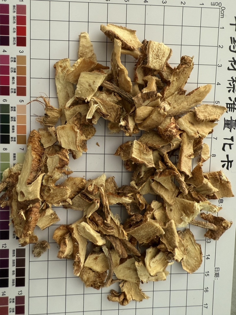知母