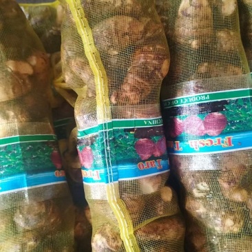 山东莒县毛芋头牛奶纯白香味毛芋头产地直供，货源充足