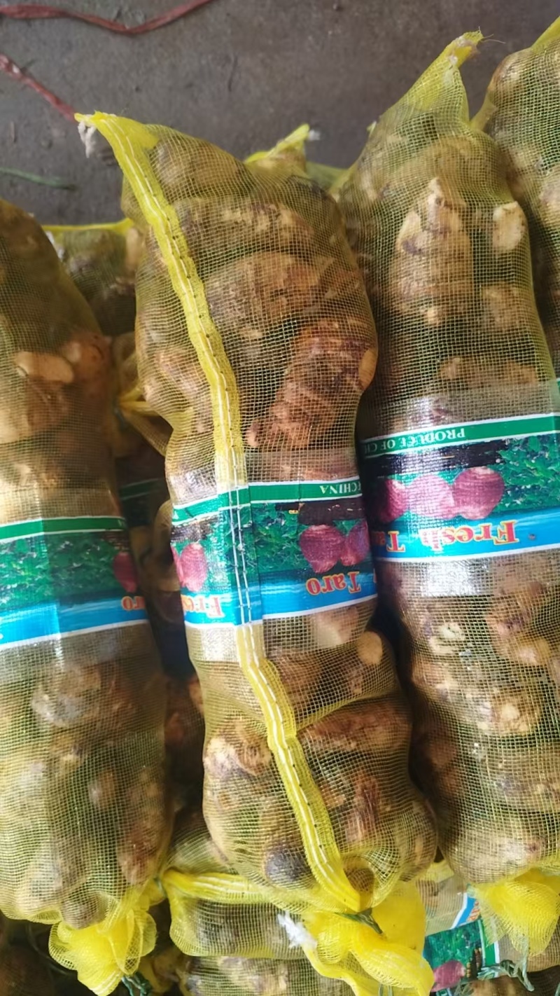 山东莒县毛芋头牛奶纯白香味毛芋头产地直供，货源充足