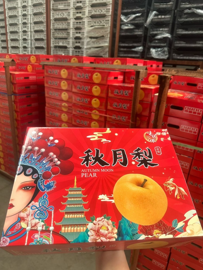 山东秋月梨