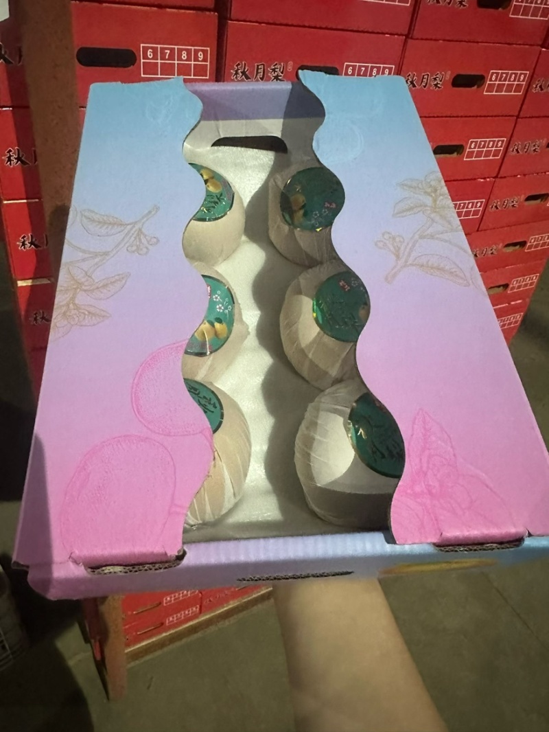 山东秋月梨