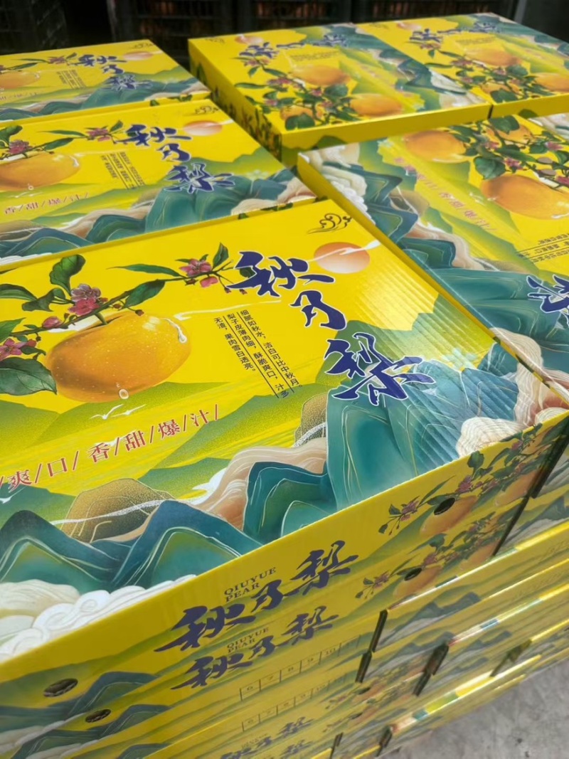 山东秋月梨