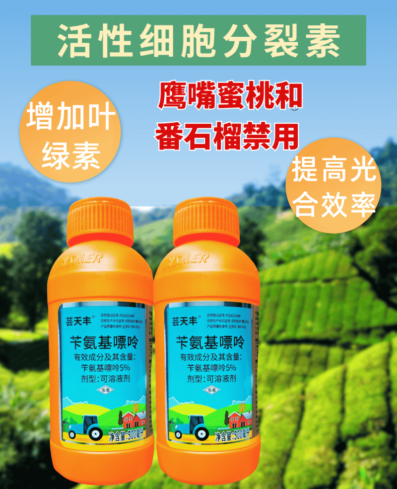 5%苄氨基嘌呤活性细胞分裂素促进花芽分化膨果壮果防落果