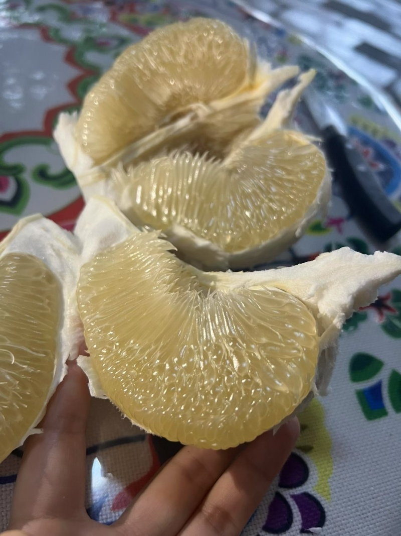 东试早傣柚20年老树果产地直发基地果品质佳皮薄肉厚汁水多