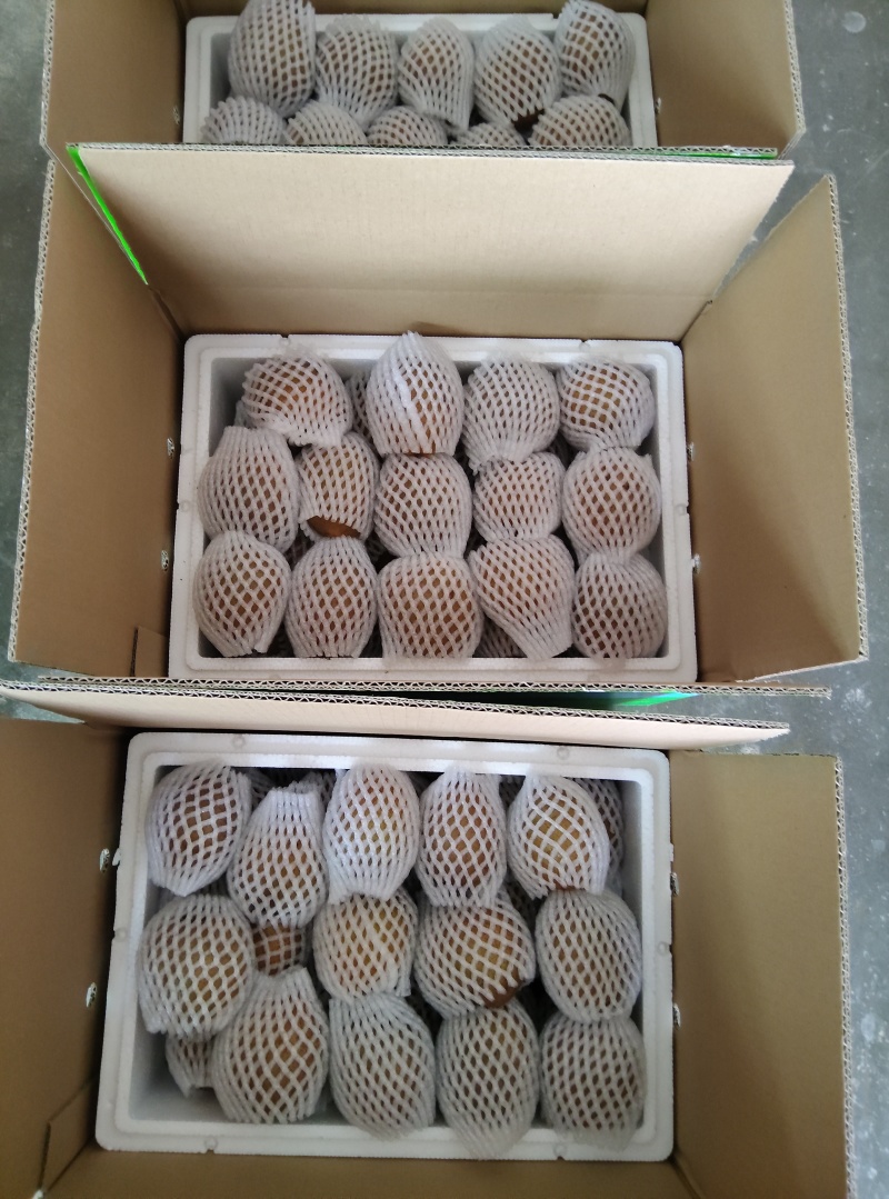 陕西猕猴桃基地批发
