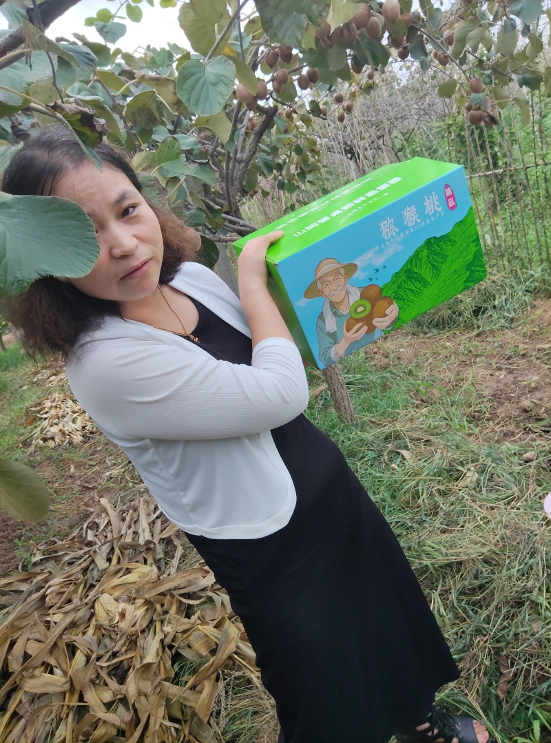 陕西猕猴桃基地批发